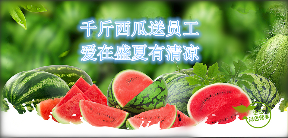 通達(dá)軟件公司： 千斤西瓜送員工，愛在盛夏有清涼